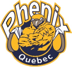 Quebec Phenix 2007 Primary Logo iron on heat transfer